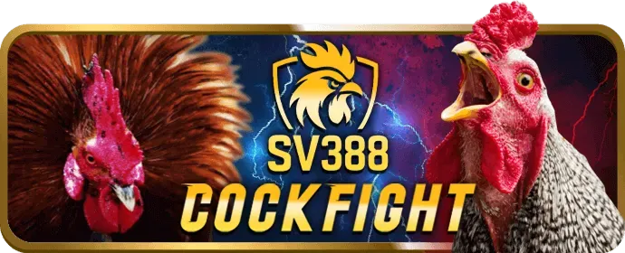 Chính sách Cookie của 333vin app