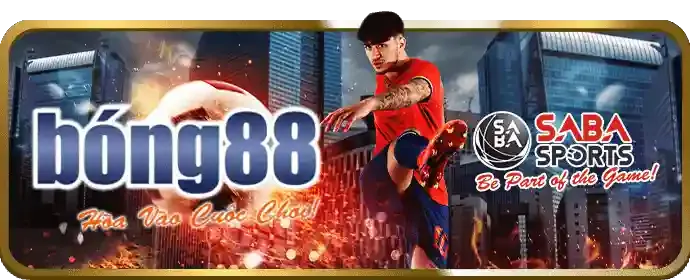 Đa dạng và phong phú